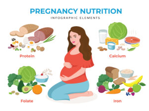 An infographic titled "Pregnancy Nutrition" featuring a central illustration of a pregnant woman. Surrounding her are four groups of food items, each labeled with a key nutrient for pregnancy: Protein (meats, eggs, beans, nuts), Calcium (dairy, leafy greens, salmon), Folate (broccoli, avocado, citrus, grains), and Iron (whole grains, vegetables, fruits, berries).